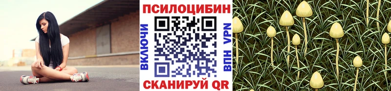 Псилоцибиновые грибы мухоморы  Купить закладки  Пласт 